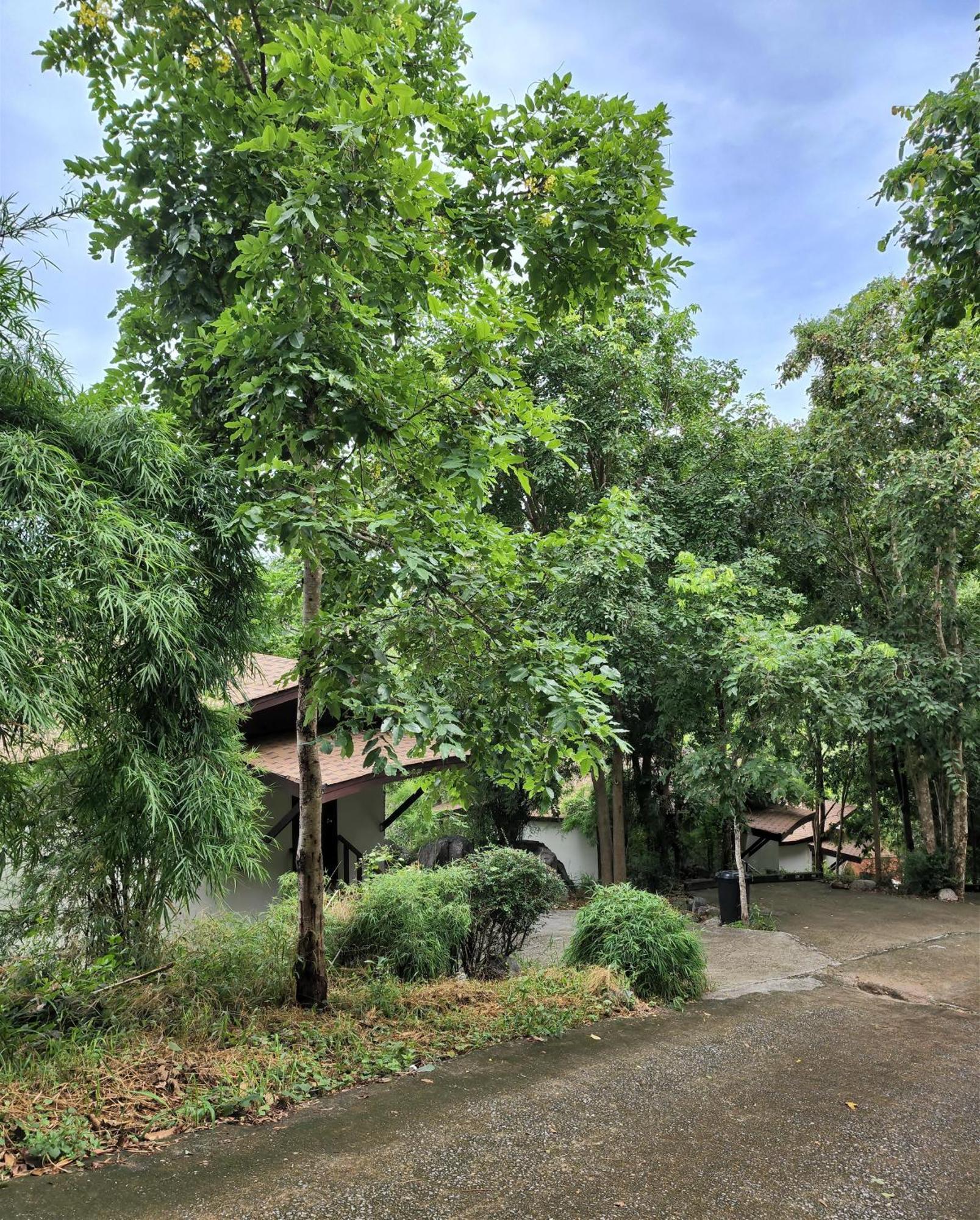 Hua Hin Home Hill Kültér fotó